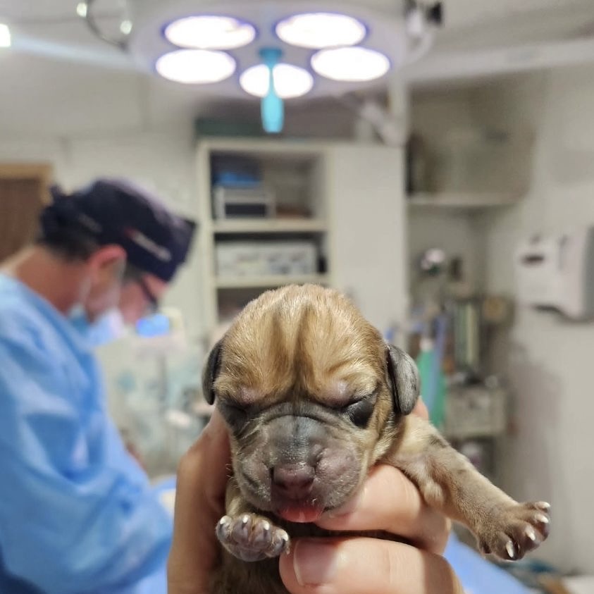 Diagnóstico por imágenes