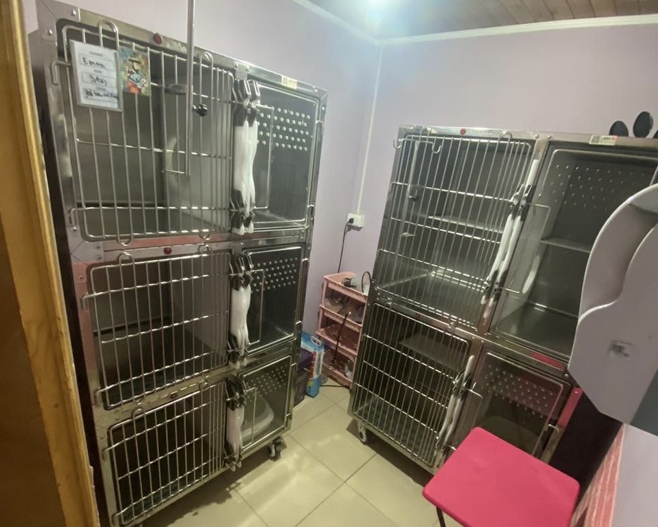 Infraestructura Crubvet — Hospitalización Felina