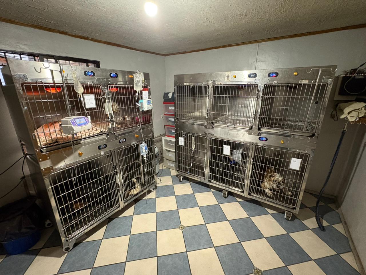 Infraestructura Crubvet — Hospitalización Canina